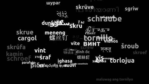 Skruv Översatt Till Hela Världen Språk Endless Looping Zooming Wordcloud — Stockvideo