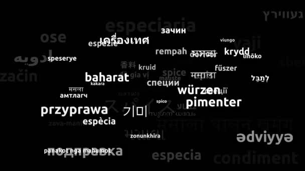 Spice Translated Worldwide Languages Endless Looping Zooming Wordcloud Mask — Vídeo de Stock