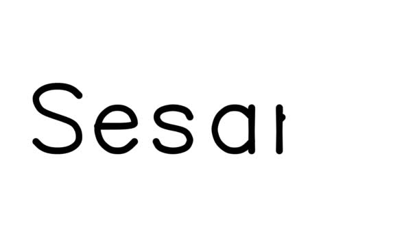 Σουσάμι Χειρόγραφη Κινούμενο Κείμενο Διάφορες Γραμματοσειρές Sans Serif Και Βάρη — Αρχείο Βίντεο