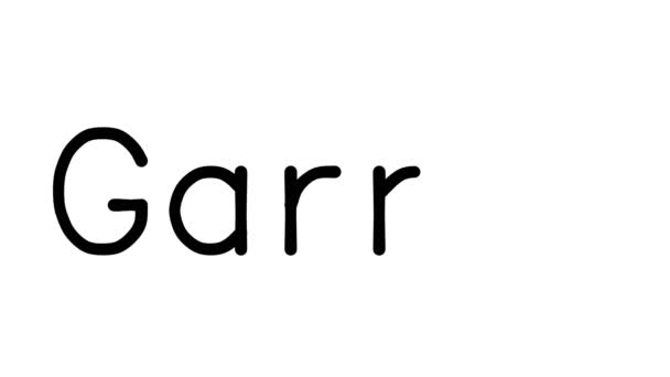 Garnet手写体动画在各种免提字体和重量中的应用 — 图库视频影像