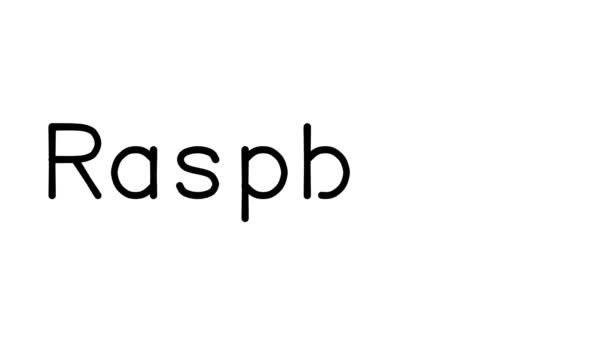 Framboos Handgeschreven Tekst Animatie Verschillende Sans Serif Fonts Gewichten — Stockvideo