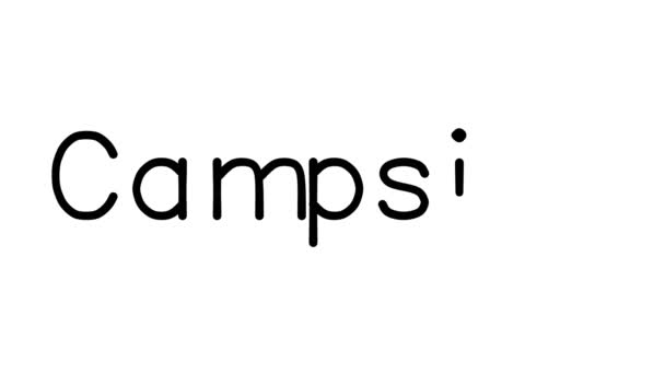 Campsite Odręczna Animacja Tekstowa Różnych Czcionkach Ciężarkach Sans Serif — Wideo stockowe