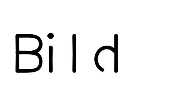 Bilder Handgeschreven Tekst Animatie Verschillende Sans Serif Fonts Gewichten — Stockvideo