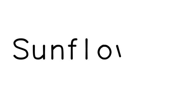 2017 Sunflower Handwritten Text Animation Various Sans Serif Fonts Weights — 비디오