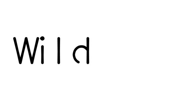 Wildfire Handskriven Text Animation Olika Sans Serif Teckensnitt Och Vikter — Stockvideo