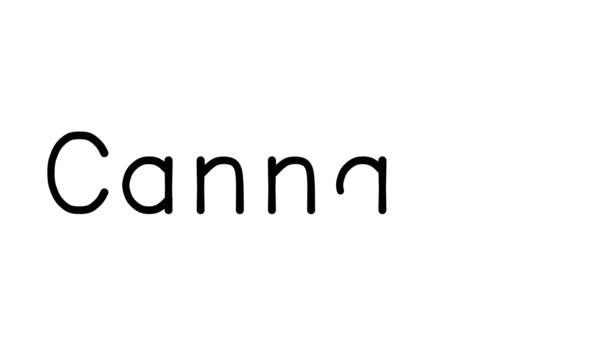Cannabis Handwritten Text Animation Various Sans Serif Fonts Weights — Stock Video