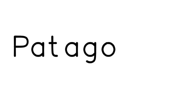 Patagonia Animazione Testuale Manoscritta Vari Caratteri Pesi Sans Serif — Video Stock