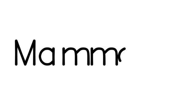 Mammuten Handskriven Text Animation Olika Sans Serif Teckensnitt Och Vikter — Stockvideo