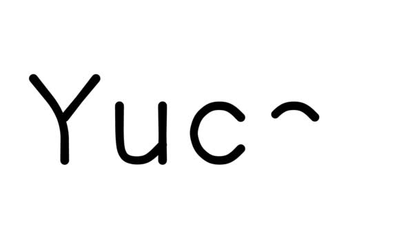 Yucca Håndskrevet Tekst Animation Forskellige Sans Serif Skrifttyper Vægte – Stock-video
