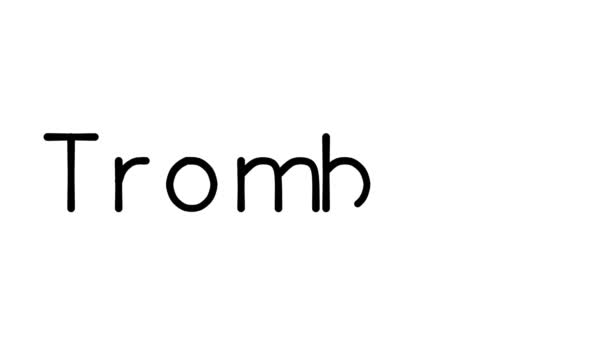 Trombone Handwritten Text Animation Various Sans Serif Fonts Weights — Stock Video