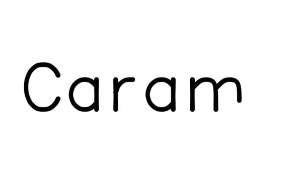 Caramel Handskriven Text Animation Olika Sans Serif Teckensnitt Och Vikter — Stockvideo