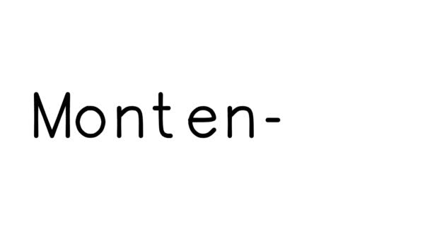 Montenegro Handwritten Text Animation Various Sans Serif Fonts Weights — 비디오