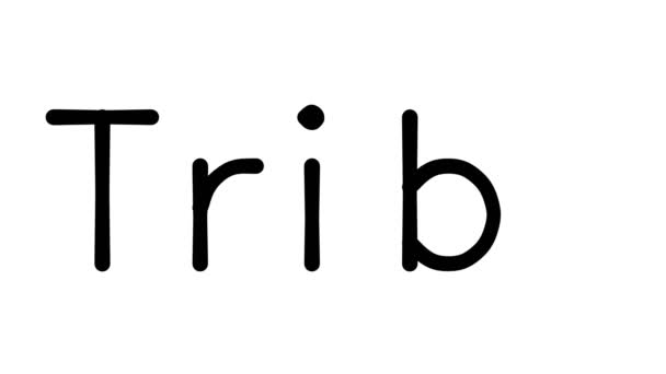 Tribe Handwritten Text Animation Various Sans Serif Fonts Weights — Stock Video