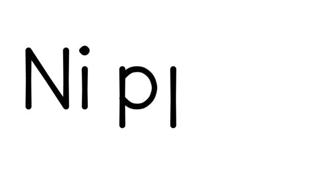 Nipple Handwritten Text Animation Various Sans Serif Fonts Weights — Stock Video