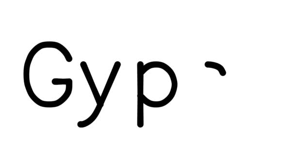 Zigeuner Handgeschreven Tekst Animatie Verschillende Sans Serif Fonts Gewichten — Stockvideo