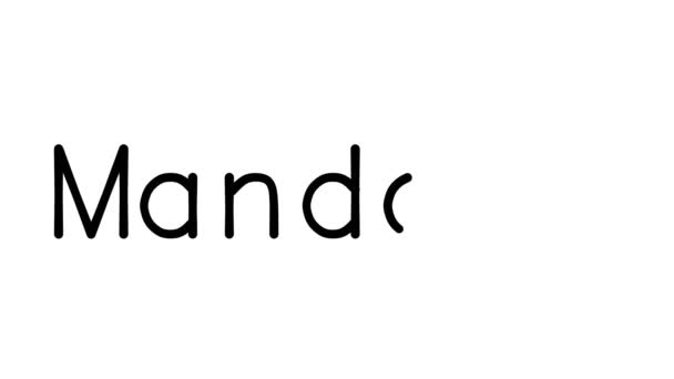 Mandolin Handskriven Text Animation Olika Sans Serif Teckensnitt Och Vikter — Stockvideo