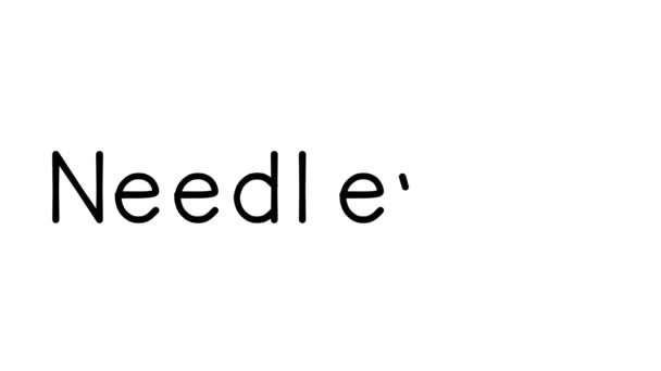 Needlework Handwritten Text Animation Various Sans Serif Fonts Weights — 비디오