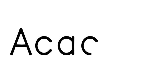 Acacia Handgeschreven Tekst Animatie Diverse Sans Serif Fonts Gewichten — Stockvideo