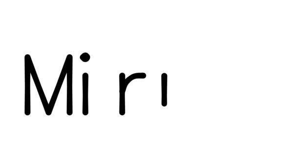 Mirror Handwritten Text Animation Various Sans Serif Fonts Weights — Stock Video