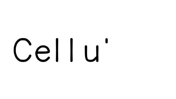 Cellulite Handwritten Text Animation Various Sans Serif Fonts Weights — 비디오