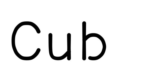 Cuba Handwritten Text Animation Various Sans Serif Fonts Weights — 비디오