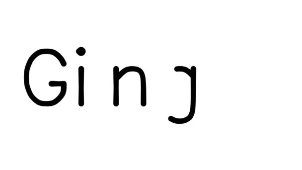 Ginger Χειρόγραφη Κίνηση Κειμένου Διάφορες Γραμματοσειρές Και Βάρη Sans Serif — Αρχείο Βίντεο