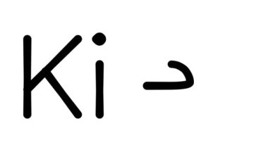 Çeşitli Sans-Serif Yazı Tipleri ve Ağırlıkları ile Kiev El Yazısı Metni Canlandırması