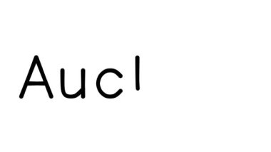 Çeşitli Sans-Serif Yazı Tipleri ve Ağırlıkları ile Açık Artırma El Yazısı Animasyonu