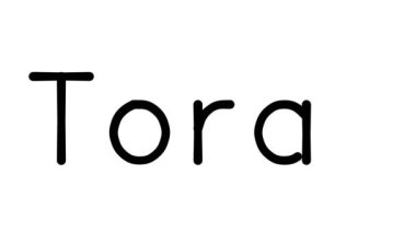 Tevrat El Yazısı Yazı Tipleri ve Ağırlıkları ile Çeşitli Sans-Serif Animasyonu