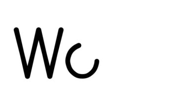 Çeşitli Sans-Serif Yazı Tipleri ve Ağırlıkları ile El Yazısıyla Yazı Canlandırması