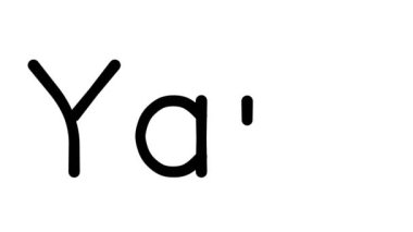 Çeşitli Sans-Serif Yazı Tipleri ve Ağırlıkları ile İplik El Yazısı Metni CanlandırmasıName