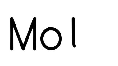 Çeşitli Sans-Serif Yazı Tipleri ve Ağırlıkları ile Güve El Yazısı Metni CanlandırmasıName