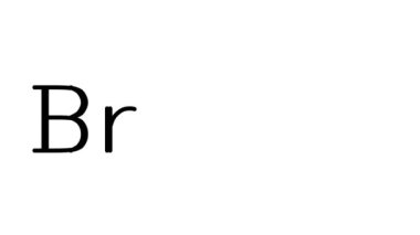 Serif Yazı Tipi ve Ağırlığı ile Branç Canlandırılmış El Yazısı Metni