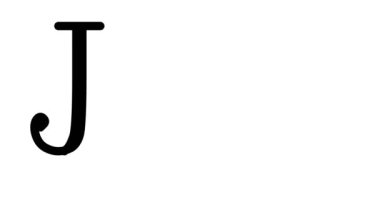 Serif Yazı Tipleri ve Ağırlıklarıyla Joy Animasyon Metni