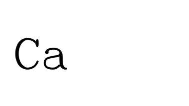 Serif Yazı Tipleri ve Ağırlığı ile Canlandırılmış El Yazısı Metni