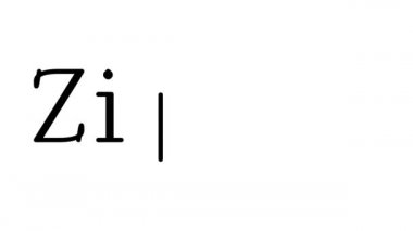 Serif Yazı Tipi ve Ağırlığı ile Fermuarlı El Yazısı Metni