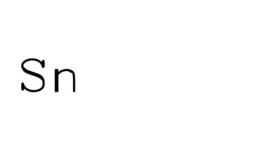 Serif Yazı Tipleri ve Ağırlıklarıyla Spor Ayakkabıları Canlandırılmış El Yazısı Metni