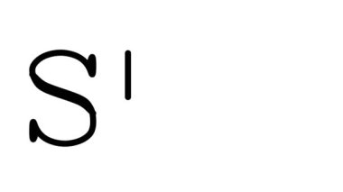 Shit Animated Handwriting Text in Serif Fonts and Weights