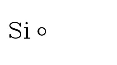 Serif Yazı Tipleri ve Ağırlıklarıyla İmza Canlandırılmış El Yazısı Metni