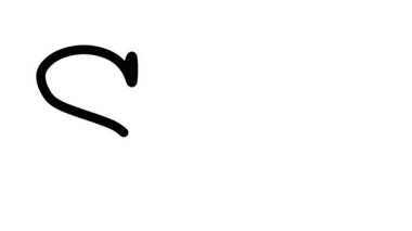 Serif Yazı Tipi ve Ağırlığı ile Seo Animasyon Metni