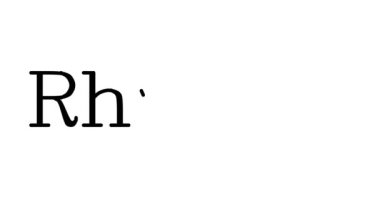 Serif Yazı Tipleri ve Ağırlıklarıyla Rhythm El Yazısı Metni