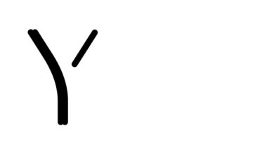 Evet Serif Yazı Tipleri ve Ağırlığı ile Animasyon Metni