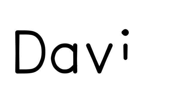 Ručně Psaná Textová Animace Davida Různých Písem Vahách Bez Serifa — Stock video