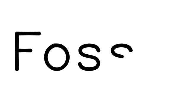 Fossiele Handgeschreven Tekst Animatie Diverse Sans Serif Fonts Gewichten — Stockvideo