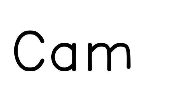 Kameel Handgeschreven Tekst Animatie Verschillende Sans Serif Fonts Gewichten — Stockvideo