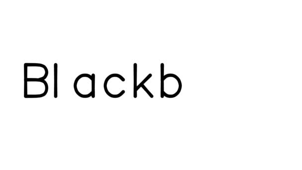 Blackberry Handschriftliche Textanimation Verschiedenen Serienlosen Schriften Und Gewichten — Stockvideo