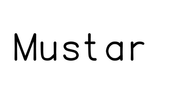Mustang Handwritten Text Animation Various Sans Serif Fonts Weights — Stock Video