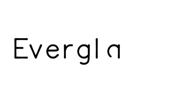 Everglades Handgeschreven Tekst Animatie Diverse Sans Serif Fonts Gewichten — Stockvideo
