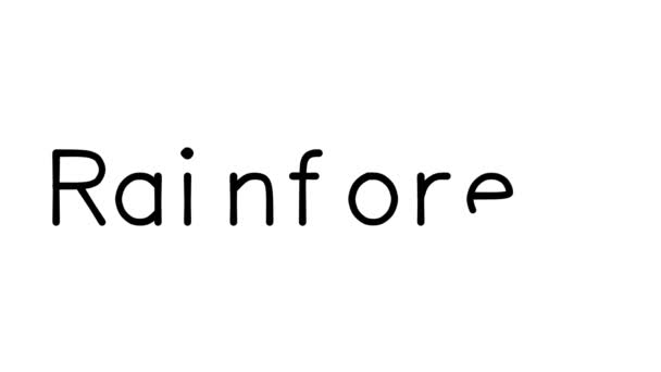 Rainforest Animación Texto Manuscrita Varias Fuentes Pesos Sans Serif — Vídeo de stock