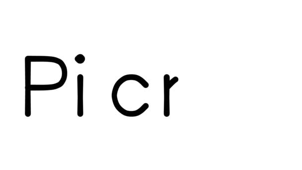 Picnic Handwritten Text Animation Various Sans Serif Fonts Weights — Stock Video